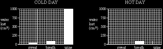 WATER LOST (cm³) COLD DAY HOT DAY in sweat 50 300 in breath 100 100 in urine 1000 750 Use the figures in the table to complete the bar-chart for a hot