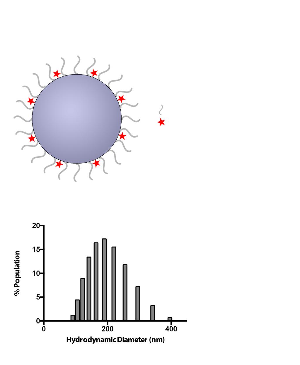 Supplementary Figure 13: Characterization of Silica nanoparticles. i) Schematic of silica particles used in this study.