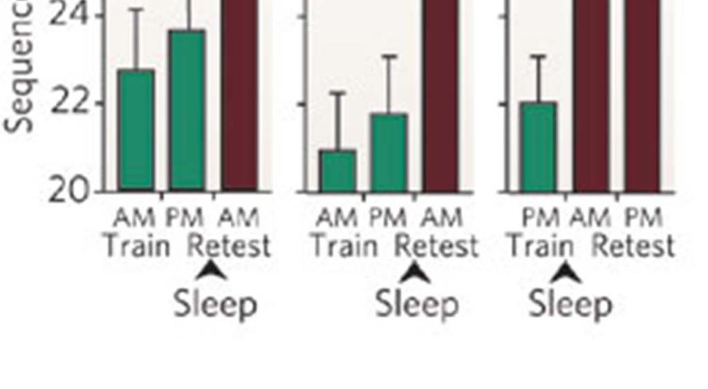 Sleep helps memory Improvement after sleep:
