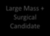 Renal Mass Biopsy Does Renal Mass Biopsy Change Clinical Management?
