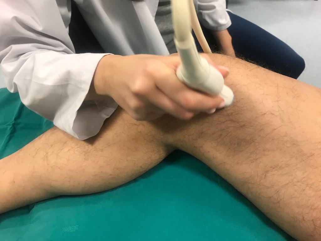 Fig. 11: Medial knee joit