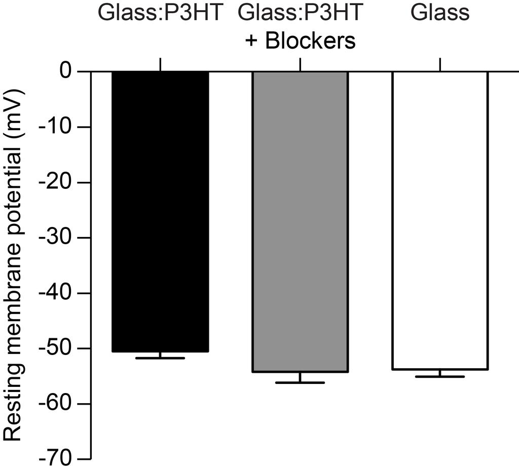 Supplementary Figure 3 Resting membrane potentials of neurons grown onto glass:p3ht or glass. Resting membrane potentials (means ± sem) of neurons plated on bare glass (-53.72 ± 1.