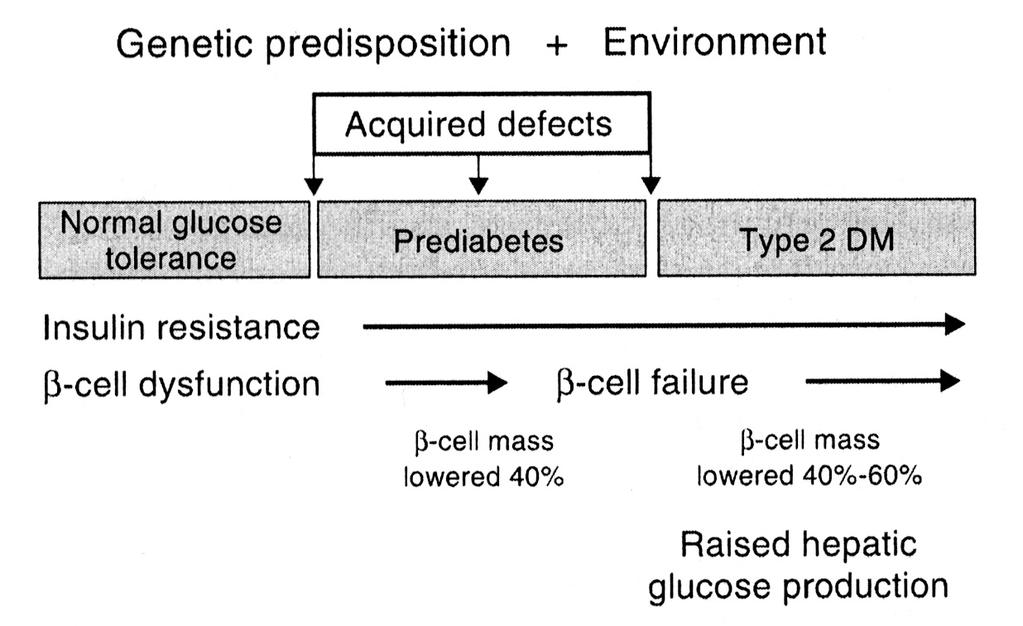 Sequence of the key pathological features of type