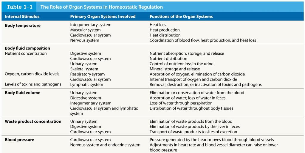 Table 1-1 The Roles of Organ Systems in Homeostatic Regulation Know some examples from each column.