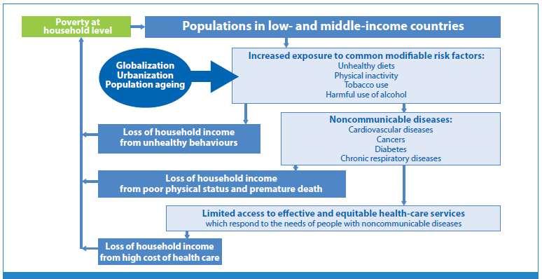 NCD and Poverty LMIC pop has more exposure to the Common RF, more chance to suffer from NCD Unhealthy behavior, cost of NCD treatment and limited access to effective and equitable health services