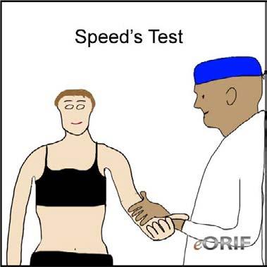 SPECIAL TESTING Speed s Tests for biceps tendon pathology Positive if it there is pain http://www.