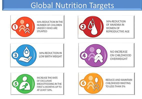 Introduction The Global Nutrition Report is the only independent and comprehensive annual review of the state of the world s nutrition.
