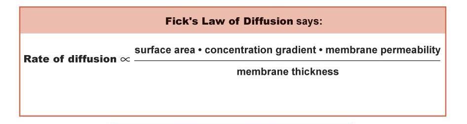 Which of the following will not increase the rate of diffusion of a substance across a membrane?