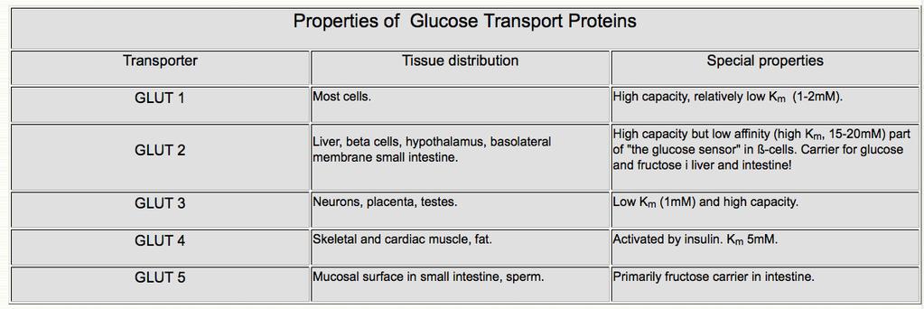 Transporters GLUT transporters for glucose