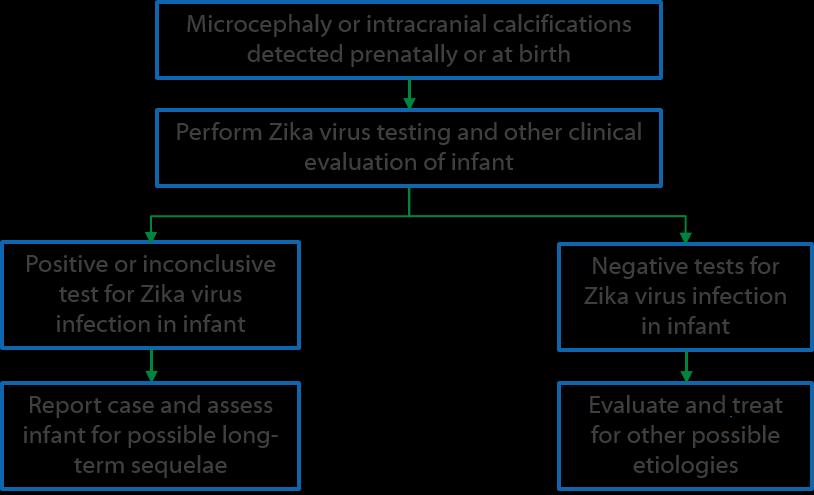 Interim Guidelines: Evaluation and Testing of Infants with Possible Congenital
