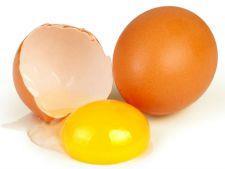 The average weight of the egg dropped with the introduction of vegetable by-products into the feed of the hens.