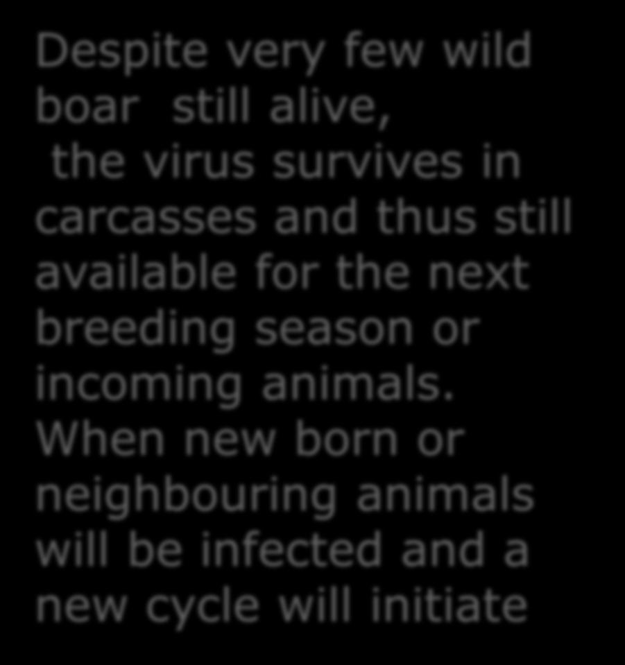 breeding season or incoming animals.