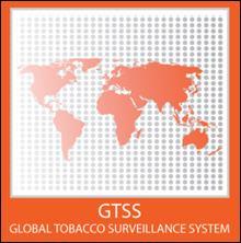 Tobacco Questions for Surveys (TQS): A Subset of Key Questions from the