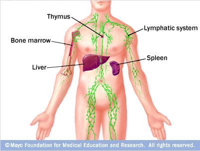 What is non-hodgkin lymphoma (NHL)?