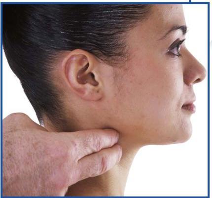 To check carotid pulse Place your index and middle fingers on the neck to