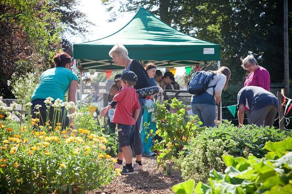 5 Where activities took place Over 75 community gardens across the city, we worked closely with: 5 open partner gardens that work with vulnerable adults & the wider community 18 specialist partner
