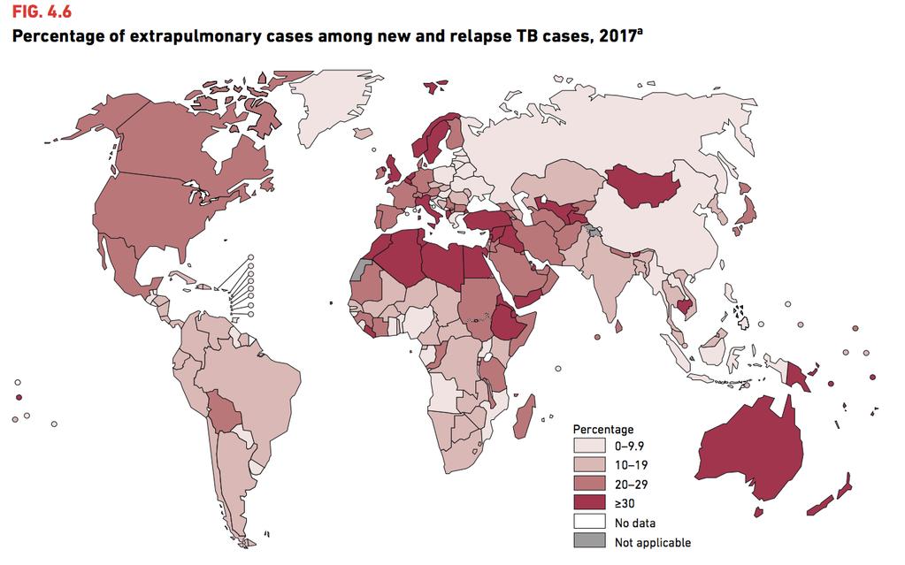 WHO Global TB Report https://www.who.