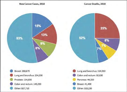 Incidence of Cancer Deaths Estimated New Cancer Cases and Cancer Deaths for 2018 https://seer.cancer.