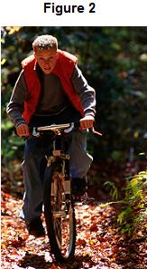 (b) Figure 2 shows a boy riding a bicycle on a sunny day. Stockbyte/Thinkstock (i) Receptors in the boy s body detect changes in the environment.