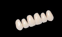 Benefits at a glance: Transparent incisal edge Naturally shaped mamelons Posterior teeth in three cusp angles Basic 6. BASIC WA S 4.19 N OW 2.