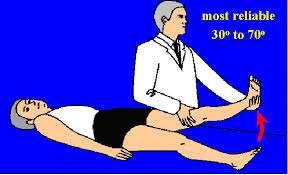 HIP SPECIAL MANEUVERS Trendelenburg Straight leg raise (back) With patient supine, flex the