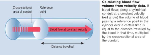 Volume of Blood Flow Work flow A. Click vessel diameter box to start measurement of internal vessel diameter in B mode. B. Measure VTI of the same vessel in PW spectrum.