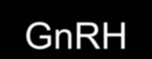 GnRH-a Initially Stimulate FSH / LH Release