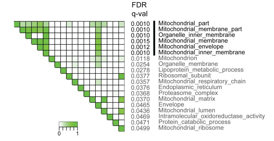 KRas;At KRas;At KRas;At KRas;At a b Supplementary Figure 1. Gene set enrichment analyses. (a) GO gene sets (MSigDB v3.