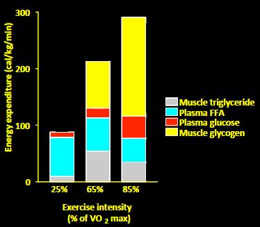 - Carbohydrate and Fat are the primary energy substrates for oxidative metabolism - Protein is usually a relatively minor