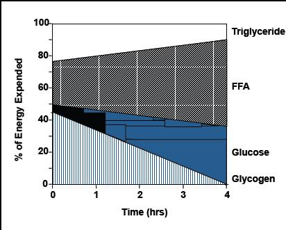 DURATION Oxidative metabolism: - Other factors affecting fuel selection: Substrate availability Diet or nutritional status