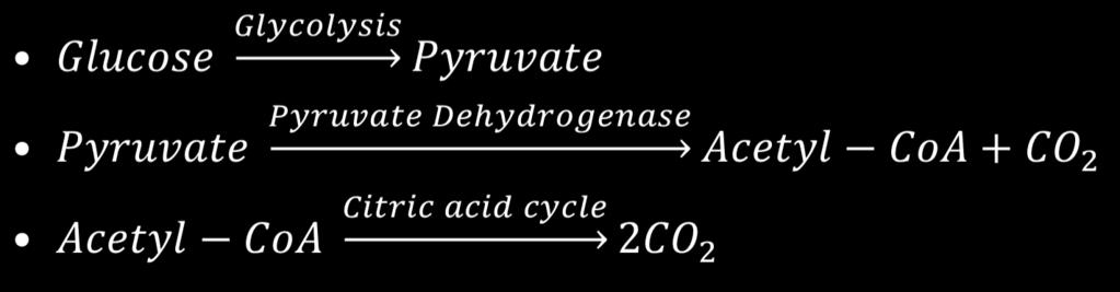 14-1 The Pyruvate Dehydrogenase Reaction 丙酮酸 (pyruvate) 的氧化脫羧反應 丙酮酸先滲透過粒腺體外膜, 再以 transporter