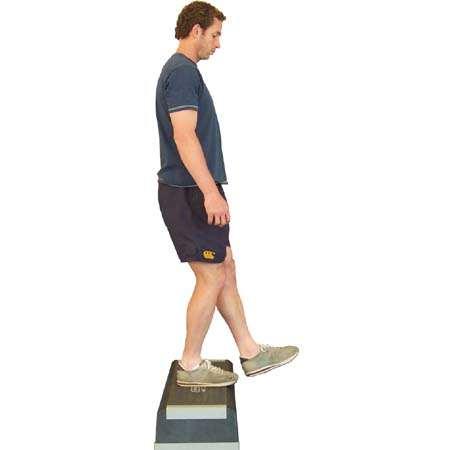 handle to abdomen, retract shoulder blades Maintain upright posture Step Down - Forward