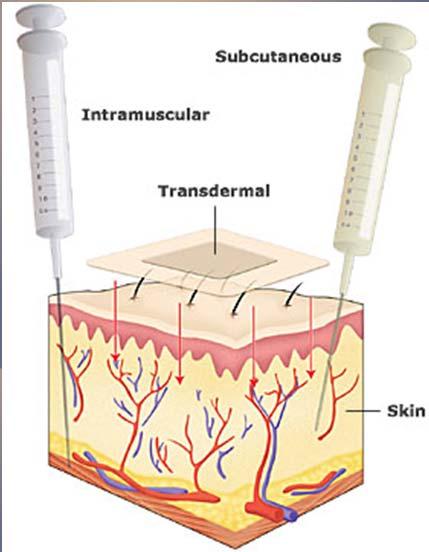 Nontraditional Drug Forms and Devices transdermal delivery system drug molecules are present in a variety of sizes and shapes that allow for absorption through the skin