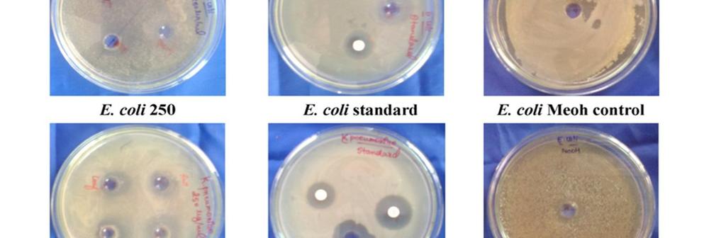 coli and B. subtilis showed good result as compared to K. pneumoniae and S. aureus, but K.