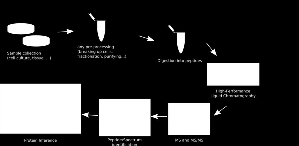 Generic MS based proteomics workflow Pre-processing Sample collection (breaking up cells,