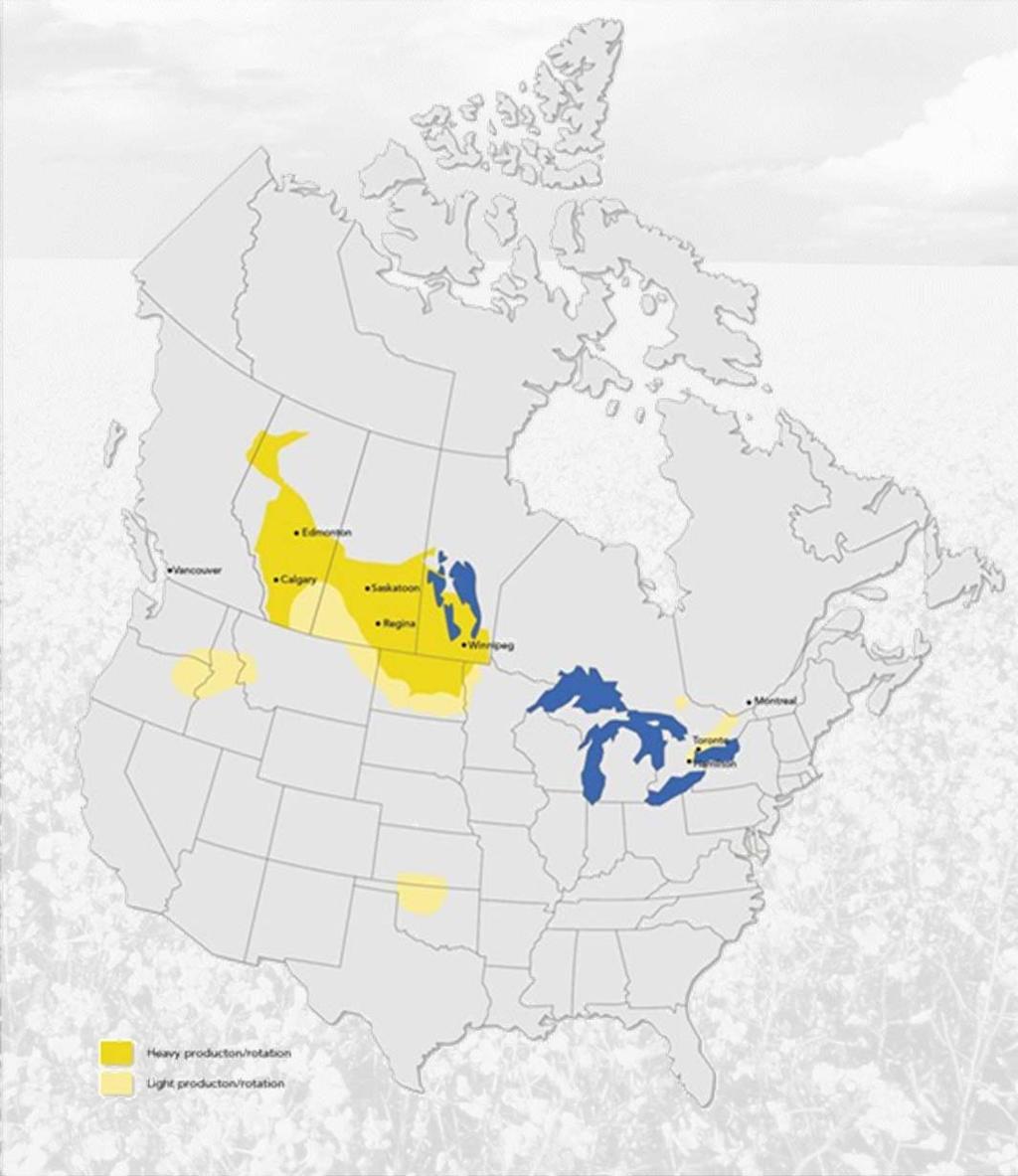 Canada Canola is our dominant oilseed