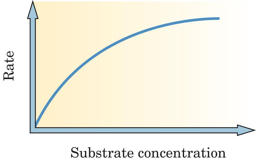 Enzyme Activity Figure 23-4 The effect of substrate concentration on the rate of an