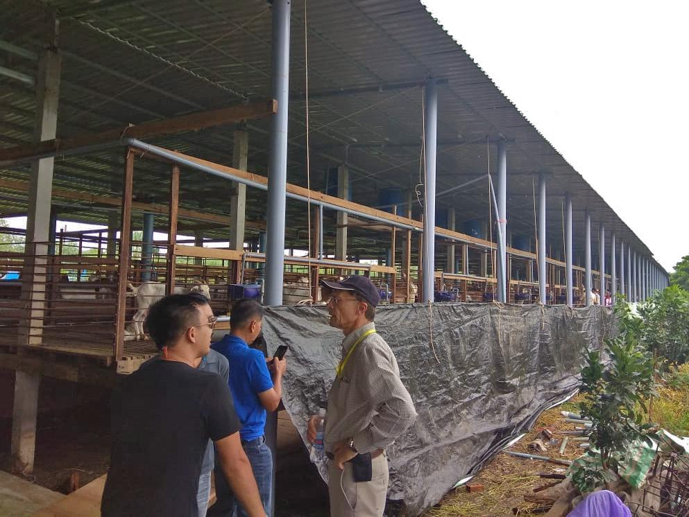 LINC Training in Vietnam From October 14-21, Dr. Arthur Goetsch traveled to Vietnam to participate in the 4 th International Asian- Australasian Conference on Dairy Goats.