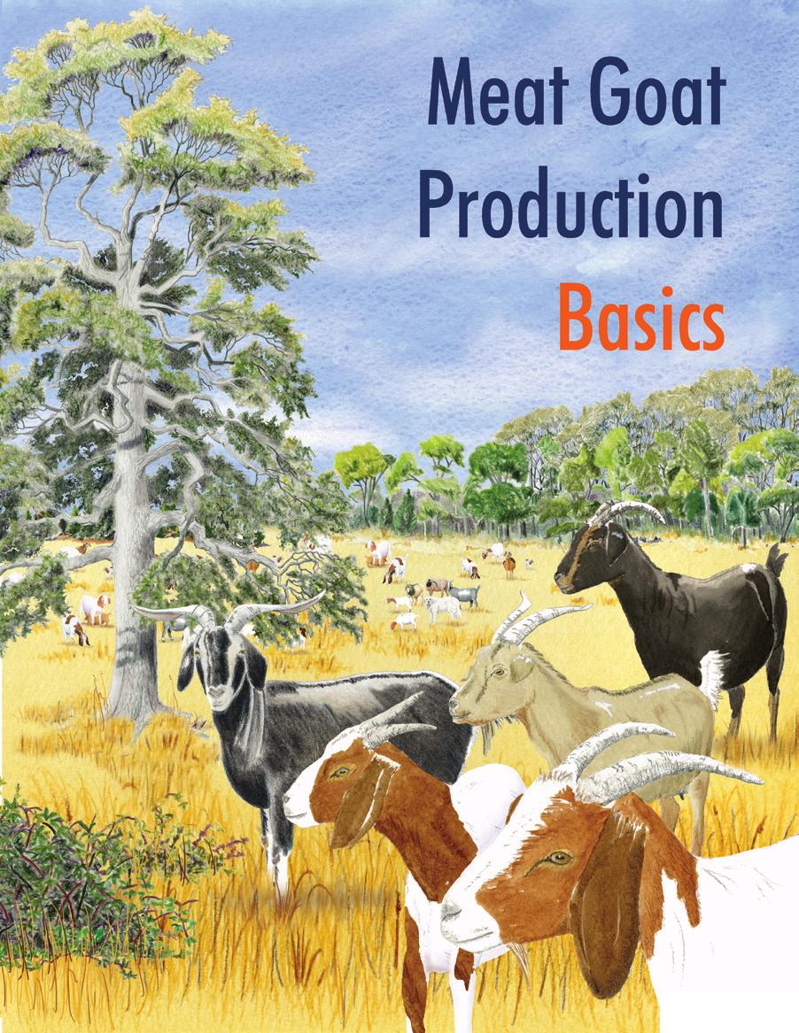 Meat Goat Production Basics Order Form $20 per copy Name: Address: City: State: Zip: Telephone: Country: Email: number of copies of the MGPB @ $20 each = $ Mail order form to: Make Checks or Money