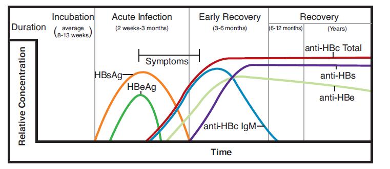 - HBeAg is another serologic marker in HBV infection. It is used as an indicator of relative infectivity. This form of testing is usually ordered during follow up of chronic infection.