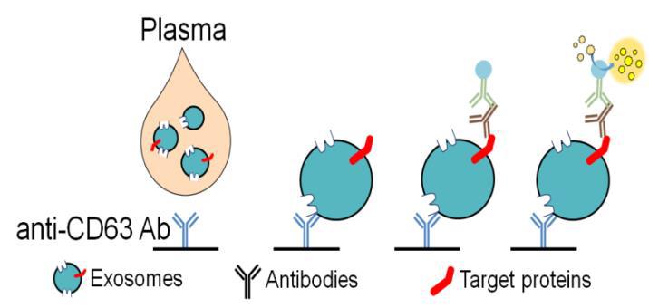 Method: ELISA For quantification of Del 1 protein on exosoms in plasma using an ELISA, Circulating exosomes isolated from