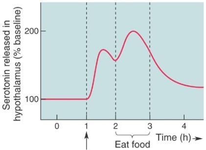 Raphe Nucleus Serotonin System Mood and food are connected (e.g., grouchy on a diet; happy eating a cookie). Serotonin provides one link between food and mood.