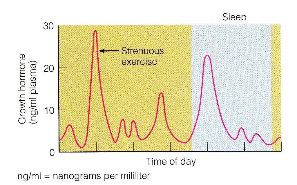Increase GH naturally with exercise & sleep!