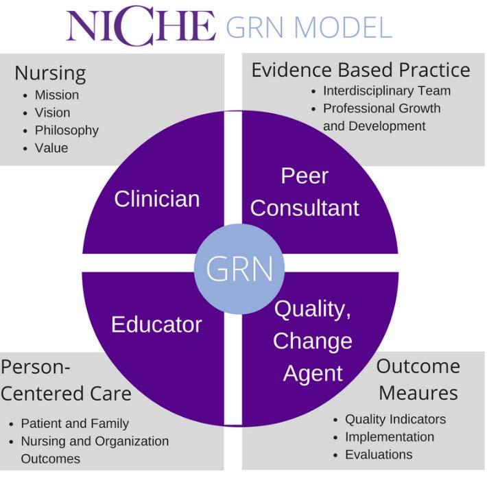 NICHE: Nurses Improving Care for Healthsystem Elders Mission = to educate nurses with the knowledge and skills to provide best practice care and to position
