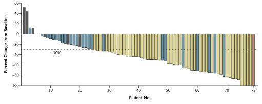 Phase I study of Crizotinib in ALK-Non Small-Cell Lung Cancer Kwak EL, et al.