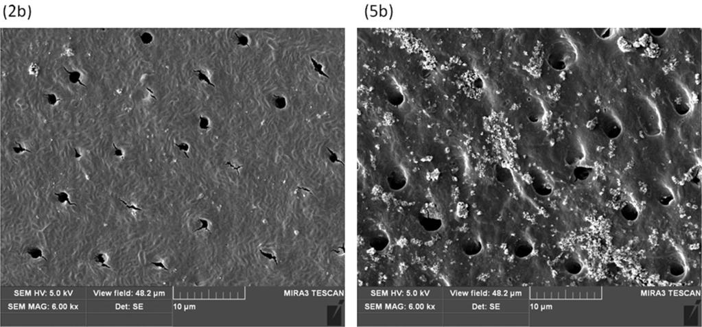 308 SCANNING VOL. 36, 3 (2014) Fig 6. SEM images of groups 2b and 5b (little protective effect recorded). peritubular region.