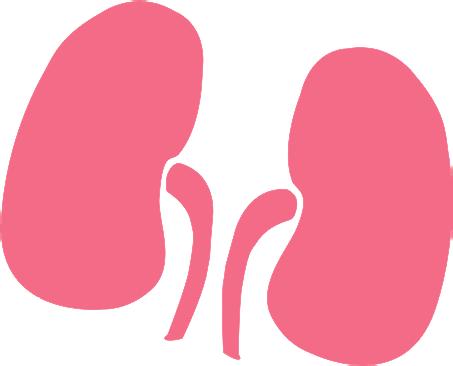 Encourage transplantation as a best-outcome option for kidney failure, and the act of organ donation as a