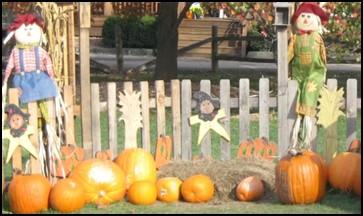 ! Weekdays in October 3pm-5pm Free Admission to our Pick-your-own Pumpkin Patch Offering a variety of pumpkins, gourds, mini pumpkins, carving tools, straw bales, corn stalks, local honey & more!