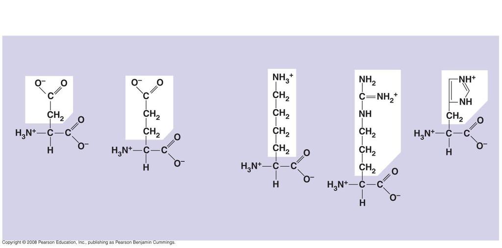 Fig. 5-17c Electrically charged Acidic Basic Aspartic acid (Asp or D)