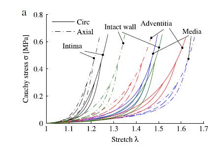 Weisbecker et al.[28] conduced uniaxial extension tests on intact and layer-separated human aortic tissue samples and obtained a pseudo-elastic damage model of the arterial wall.